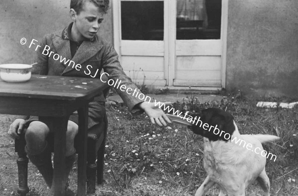 BOY PLAYING WITH DOG